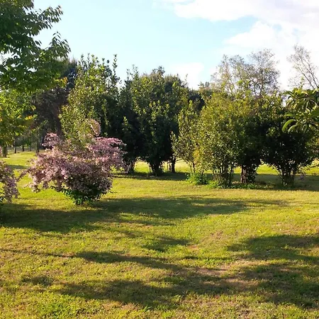 بيت للعطل Casale Cipresso فيكيانو